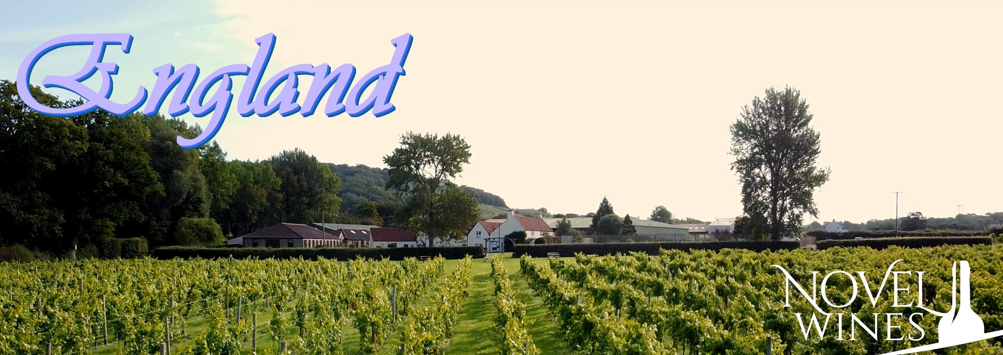 Your Guide to The Wines of England - This Month's Novel Wines Explorer's Club