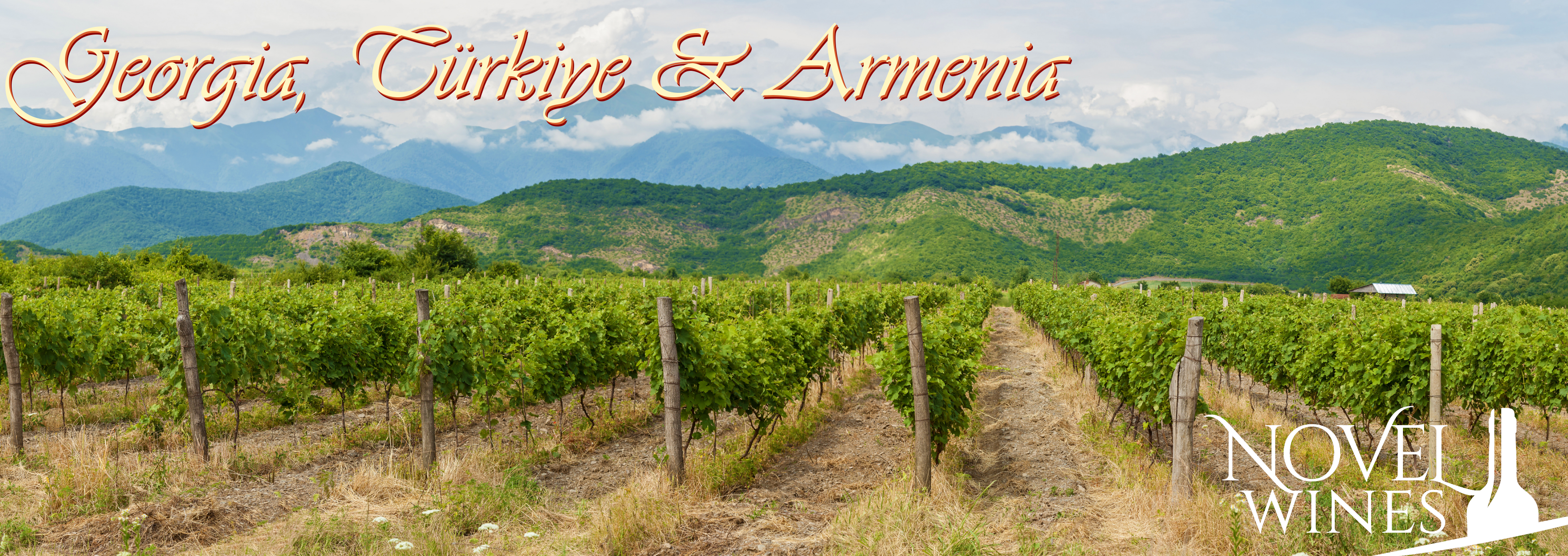 Your Guide to the Wines of Türkiye, Armenia, and Georgia - This Month's Novel Wines Explorer's Club