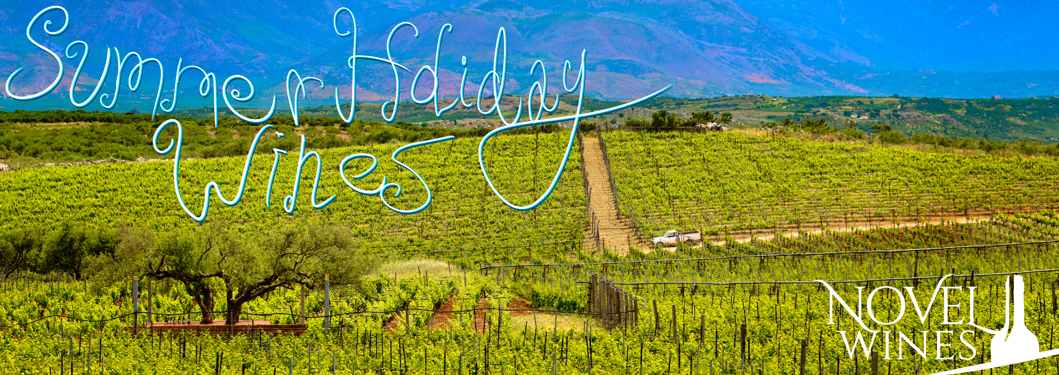 Your Guide to Summer Holiday Wines - This Month's Novel Wines Explorer's Club