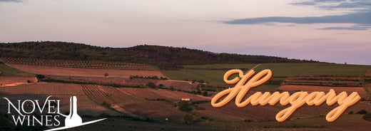 Your Guide to the Wines of Hungary - This Month's Novel Wines Explorer's Club