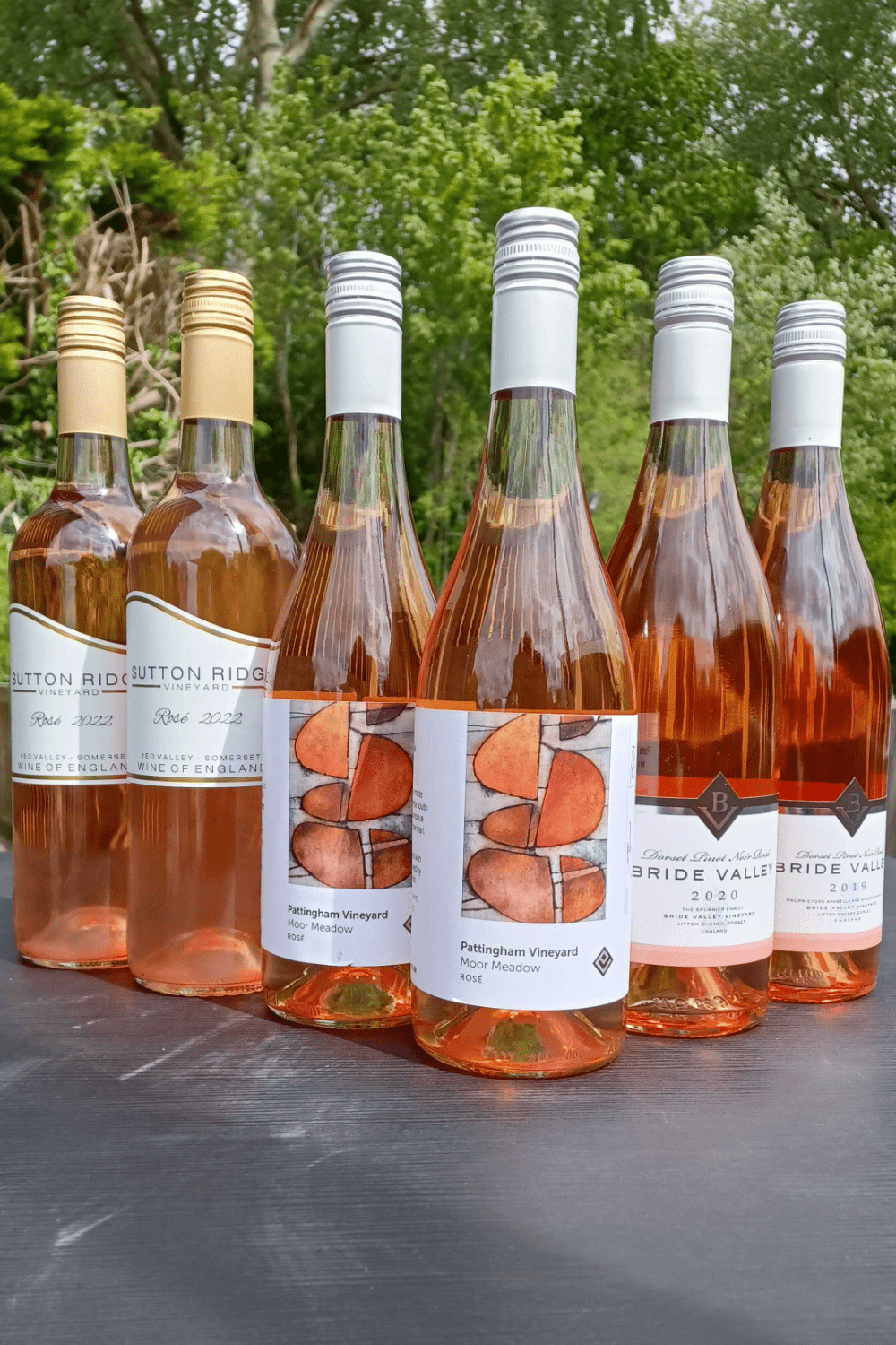 Novel Wines Mixed Case NEW - Spring Rosé Great Value Mixed Case (Copy)