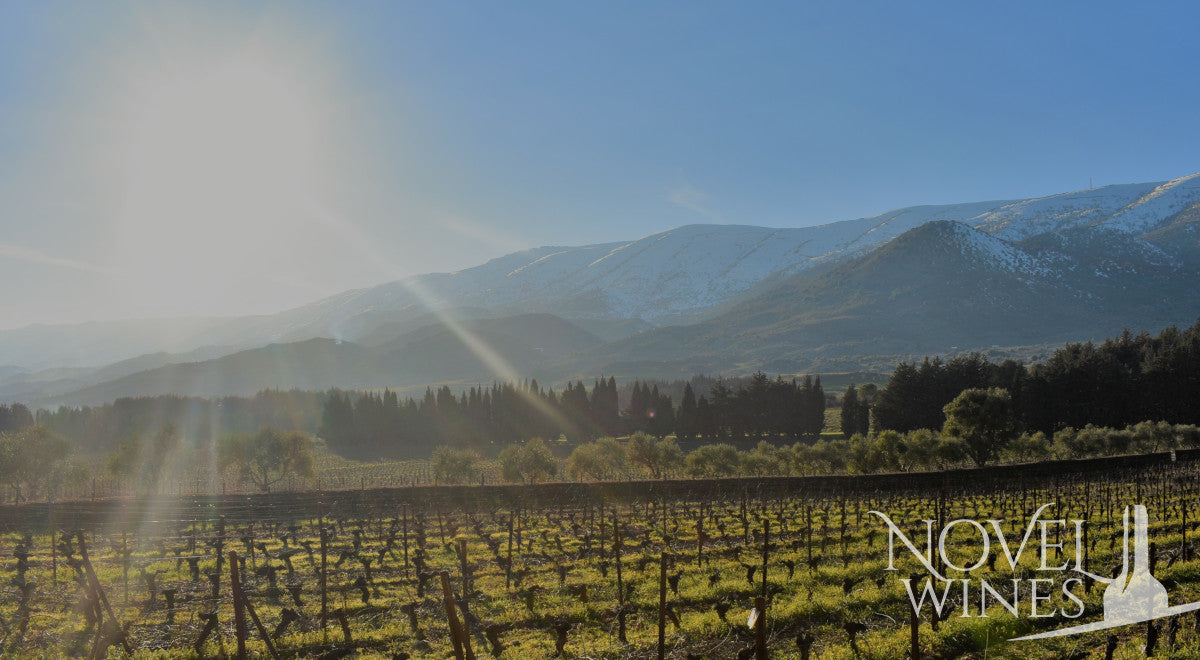 Your Lebanese Wine Guide to the Beqaa Valley - This Month's Novel Wines Explorer's Club