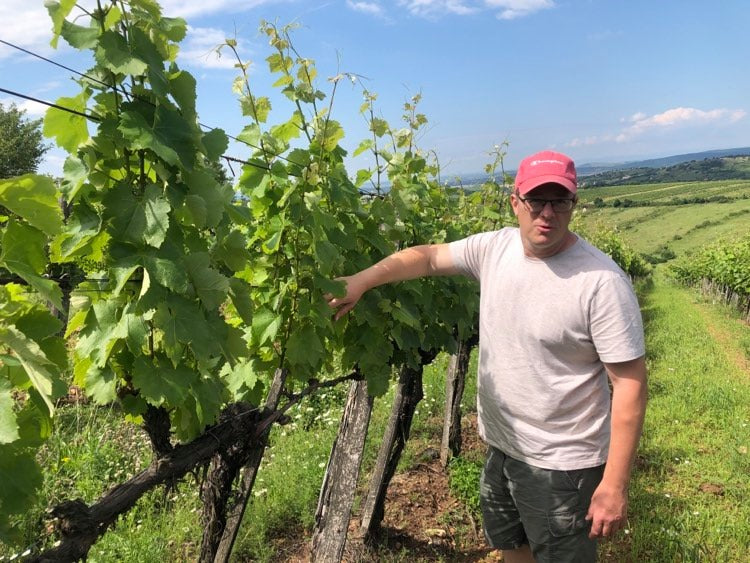 Meet Laszlo Szilagyi, winemaker at Gizella Winery