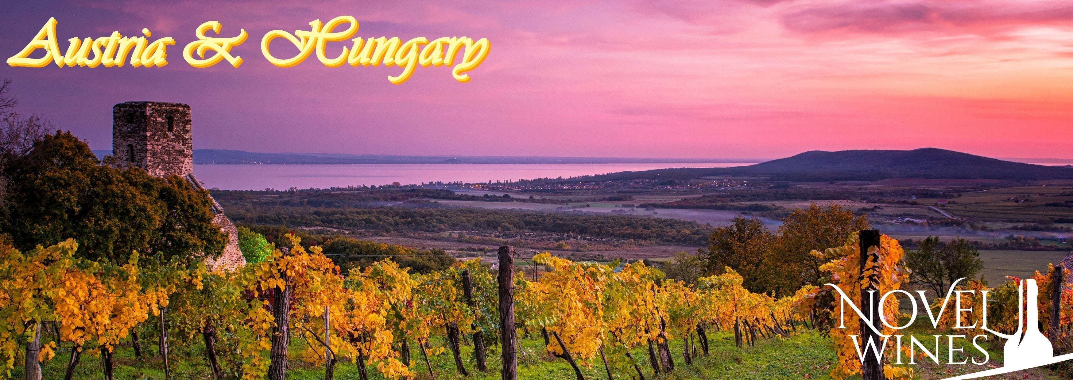Your Guide to The Wines of Austria & Hungary - This Month's Novel Wines Explorer's Club