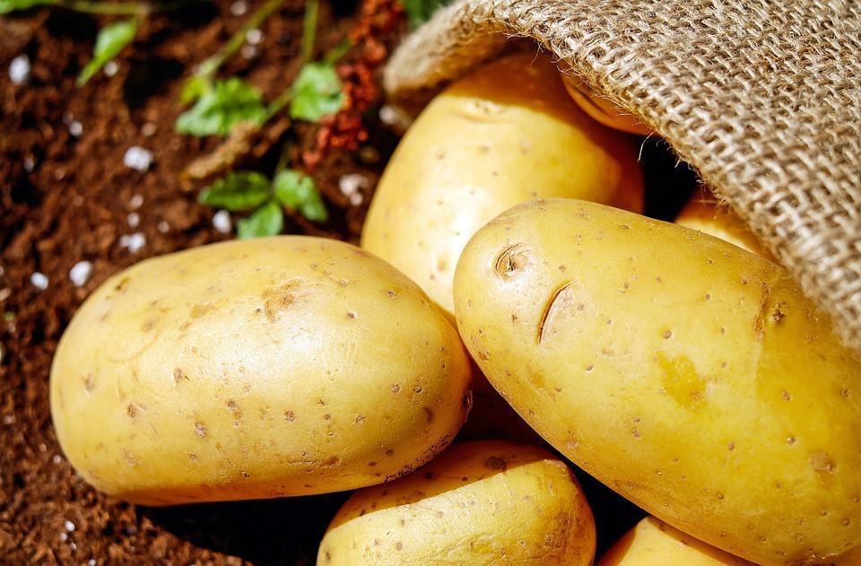The wino's guide to pairing wine with potatoes
