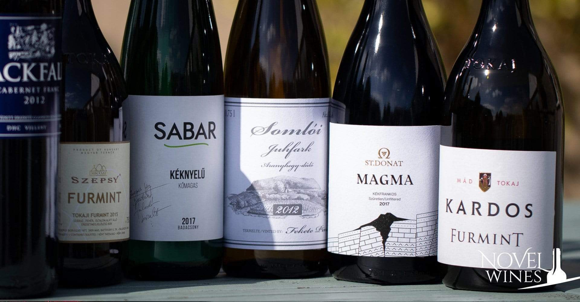 Discover these stars of Hungarian wine