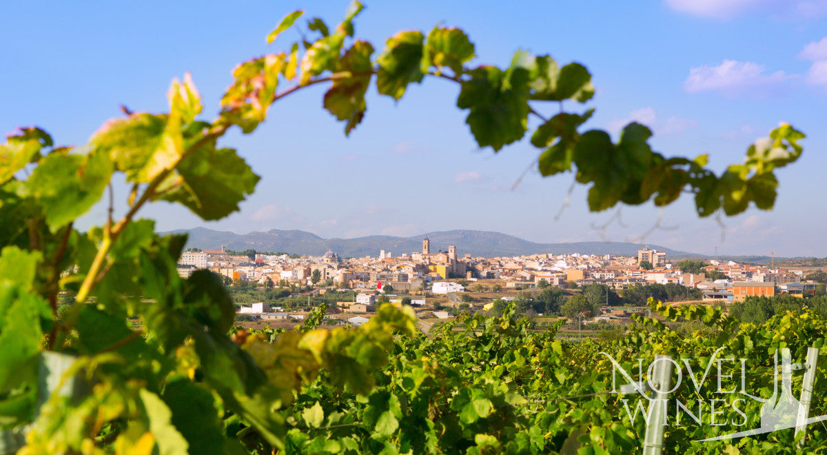 Your Guide to Spanish Wines - This Month's Novel Wines Explorer's Club
