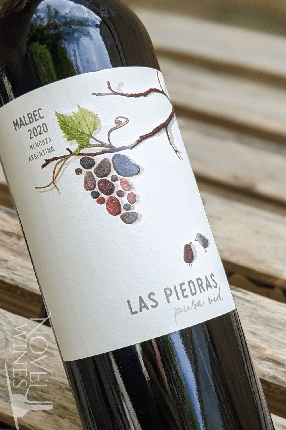 Pannunzio Red Wine Pannunzio Las Piedras Malbec 2020, Argentina