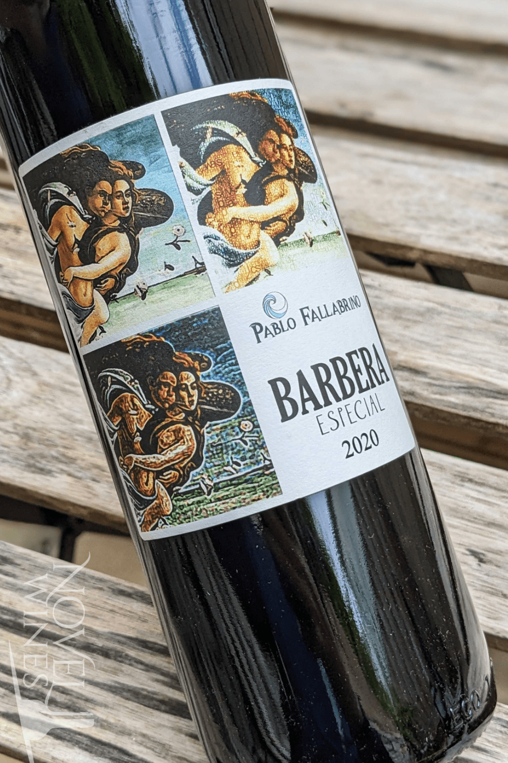 Vinedo de los Vientos Red Wine Vinedo de los Vientos Pablo Fallabrino Barbera 2020, Uruguay