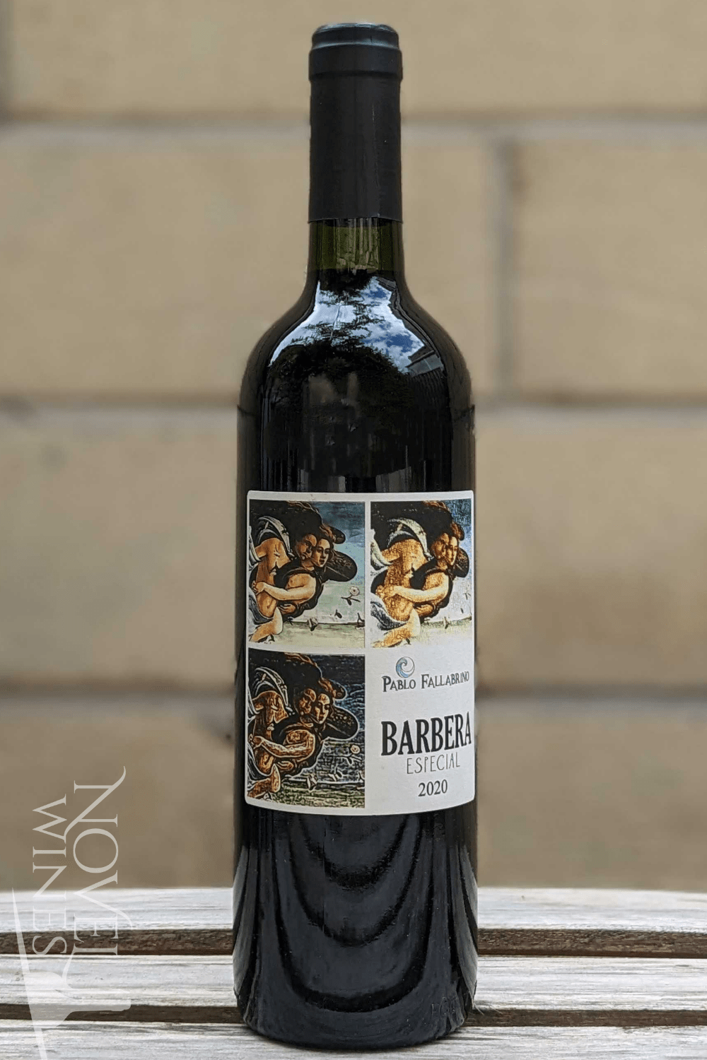 Vinedo de los Vientos Red Wine Vinedo de los Vientos Pablo Fallabrino Barbera 2020, Uruguay