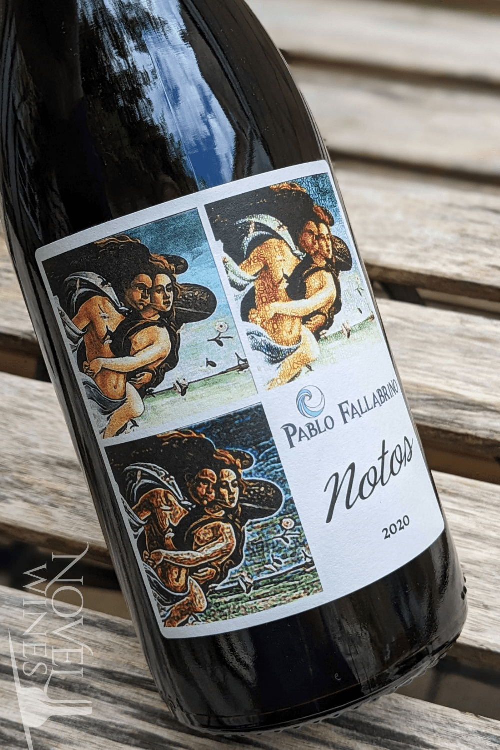 Vinedo de los Vientos Red Wine Vinedo de los Vientos Pablo Fallabrino Notos Nebbiolo 2020, Uruguay