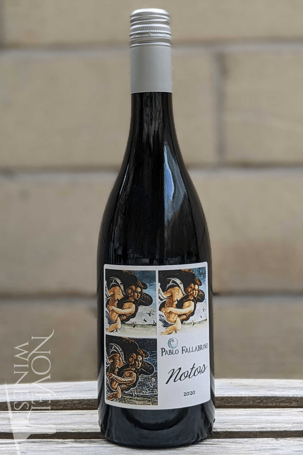 Vinedo de los Vientos Red Wine Vinedo de los Vientos Pablo Fallabrino Notos Nebbiolo 2020, Uruguay